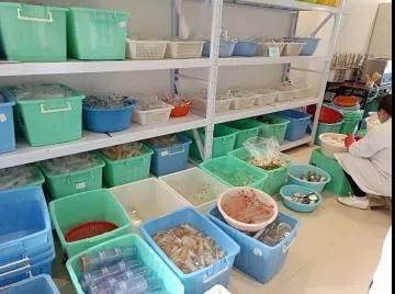 正確的洗瓶方法，幫助你擺脫實驗室洗瓶煩惱！